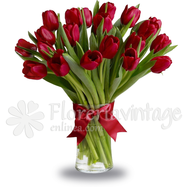 floreria-en-torreon