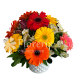 envios-de-flores-a-domicilio-12GER-BC-12-gerberas-alrededor