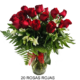 20 ROSAS EN VIDRIO